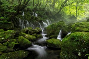 不登校やひきこもりに対する支援はどのように行われているのか？