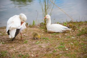 不登校の子どもを持つ親ができることとは？家庭でのサポート方法を解説！