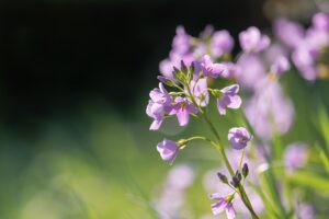 不登校の子どもにとって先の見通しが立たない時の対処法は？
