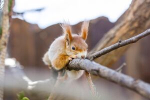 フリースクールの費用返金が可能な条件とは？