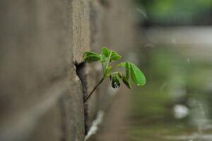 登校日を何日以内に設定すれば良いのか？
