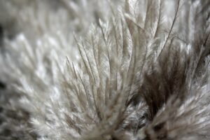 不登校の子どもが緊張しやすい性格を克服する方法は？
